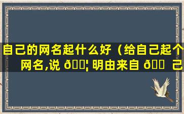 自己的网名起什么好（给自己起个网名,说 🐦 明由来自 🐠 己以及含义）